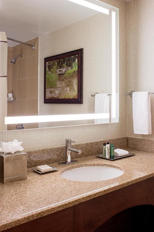 Hilton Houston Galleria Area Rom bilde